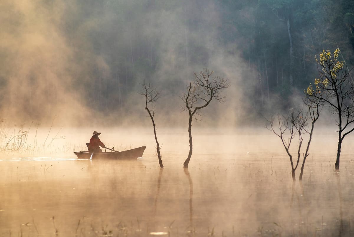 A wooden boat moves through the morning mist on a Mekong canal lined with thick green water palms and lily pads
