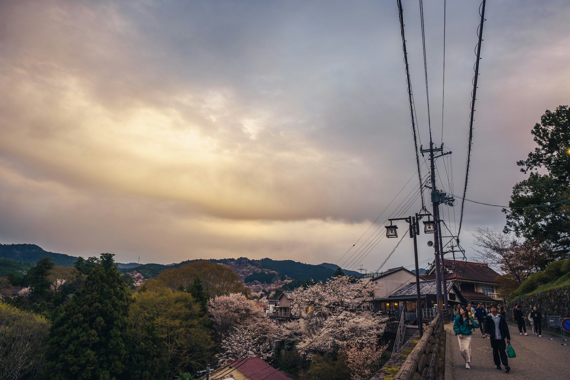 Yoshino mountain sakura Japan