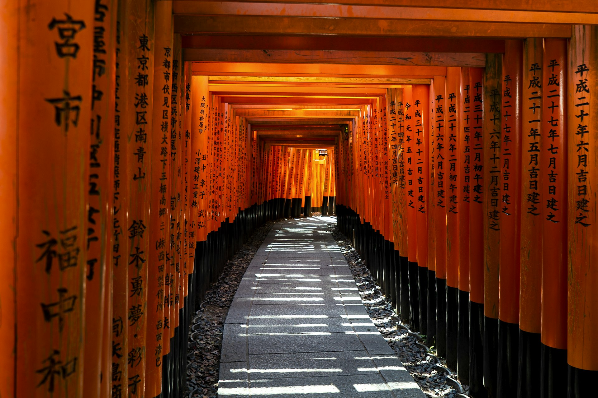 Five-day Kansai itinerary that hits the iconic Kyoto temples, eats Osaka's best street food, and squeezes in a deer-park day in Nara.