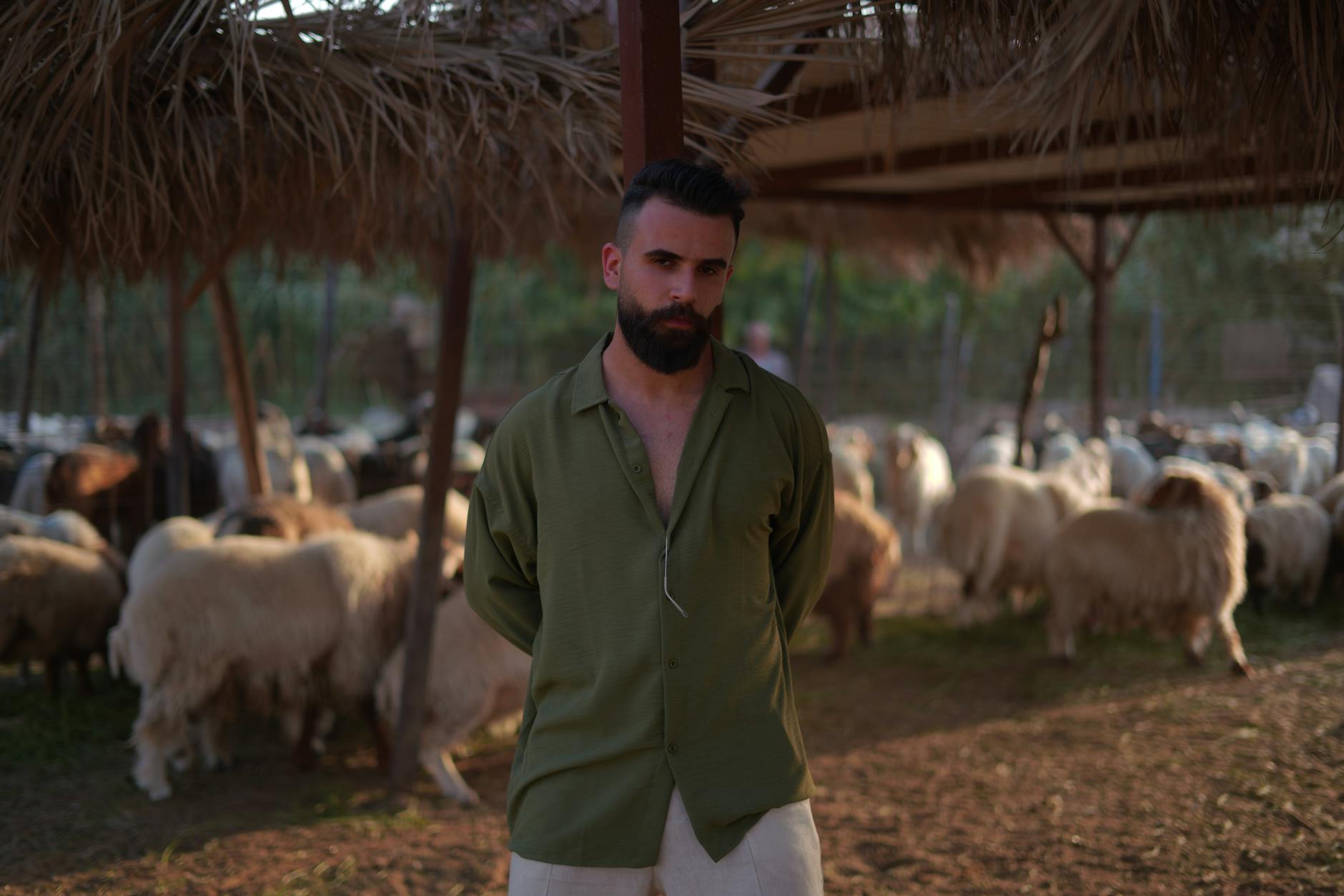 Merino wool shirt travel