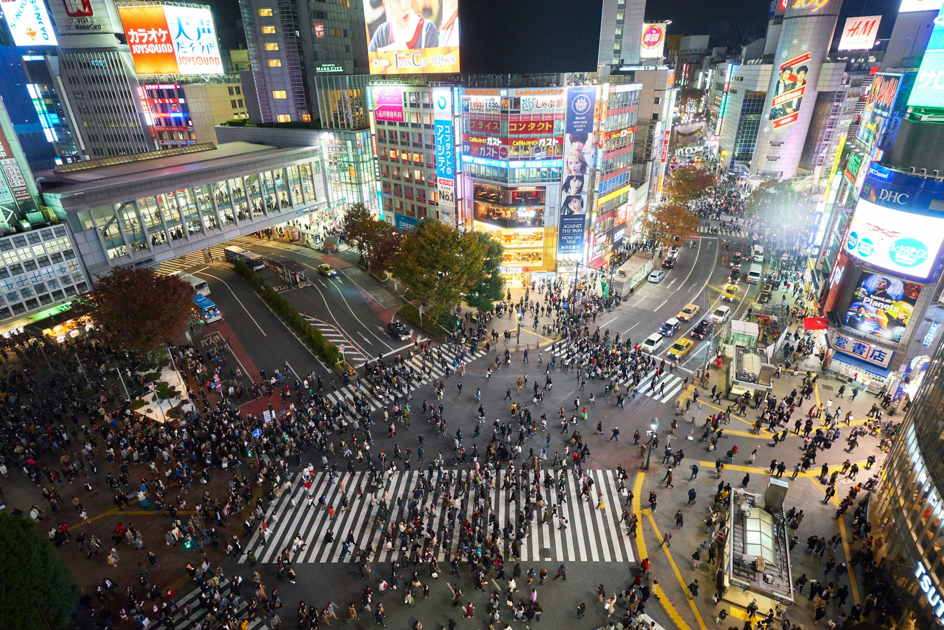 Day-by-day Tokyo plan that balances Shibuya, Asakusa, Akihabara, and a Kamakura day-trip without exhausting you by day three.